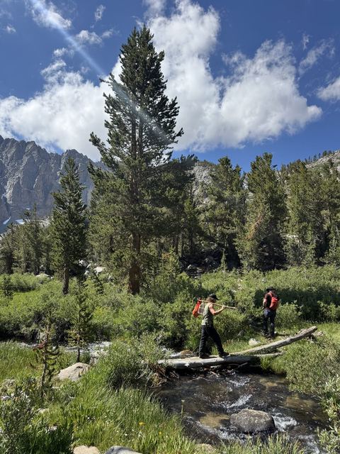 Creek crossing