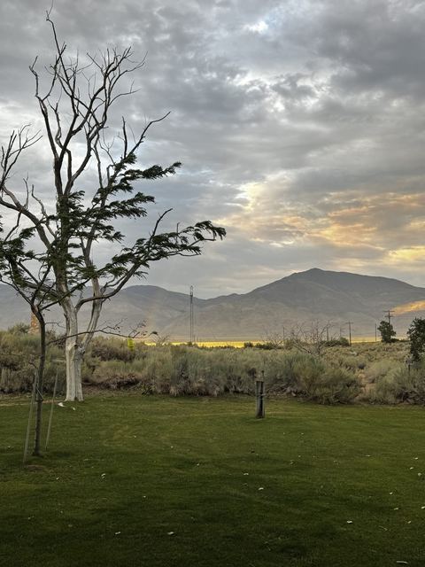 Evening light