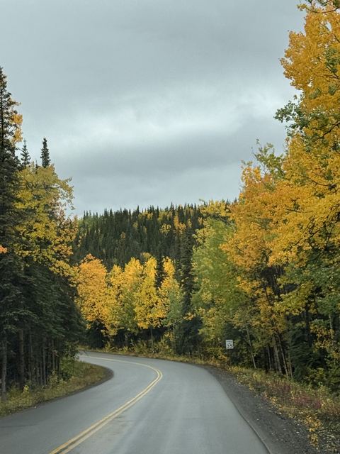 Golden road north