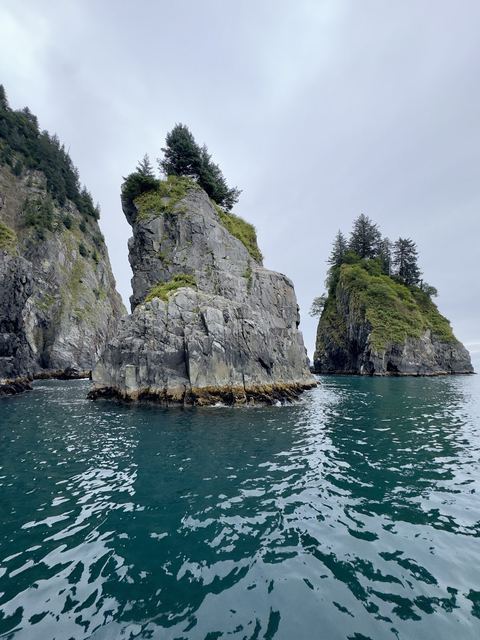 Kenai Fjords