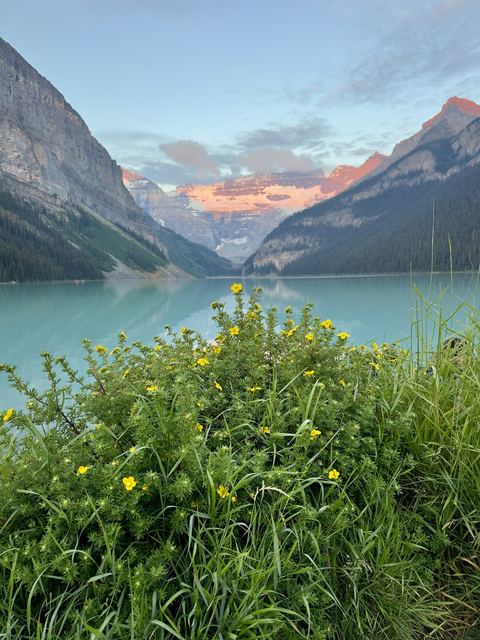 Lake Louise at sunrise