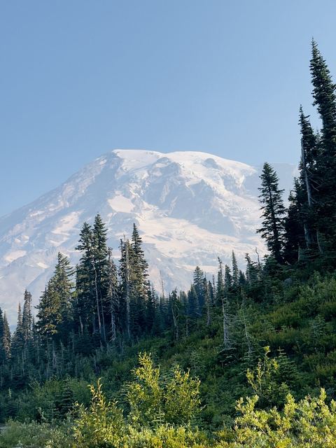 Mount Rainier